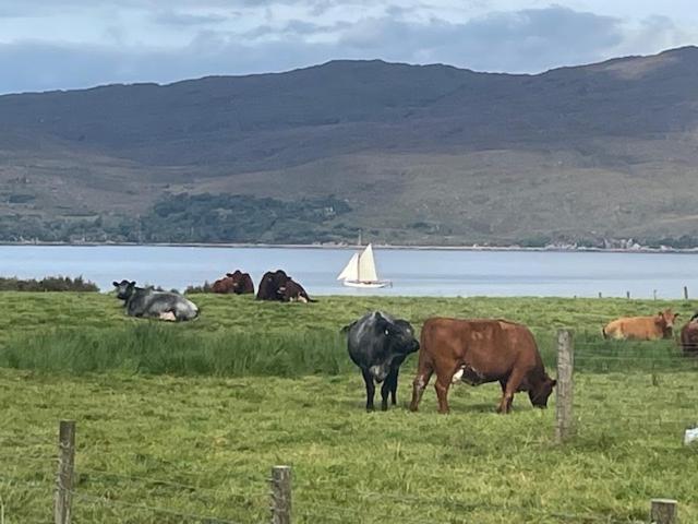 Plockton, Camus Fearn Barn Villa Dış mekan fotoğraf